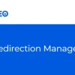 All In One SEO Pro Redirection Manager